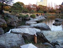 Kiyosumi Garden The bluish rock of the garde