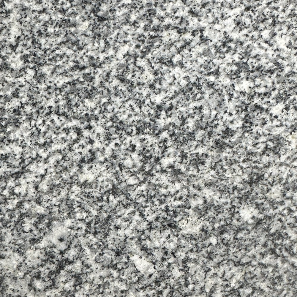 新G343華南 P