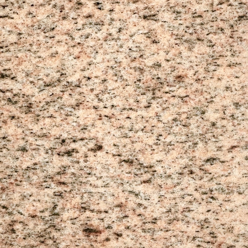 ピンクソールズベリー P