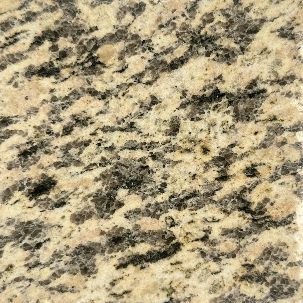 虎皮黄 P