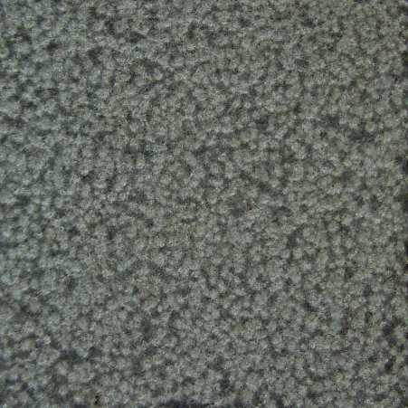 ショウホ黒　ビシャン
